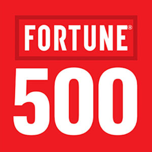 Fortune 500 Company - Director